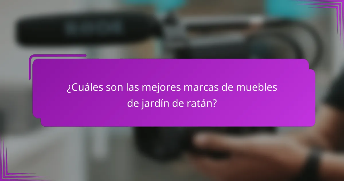 ¿Cuáles son las mejores marcas de muebles de jardín de ratán?